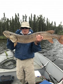 Person in outdoor clothing holding a large fish on a boat, with water and trees in the background.