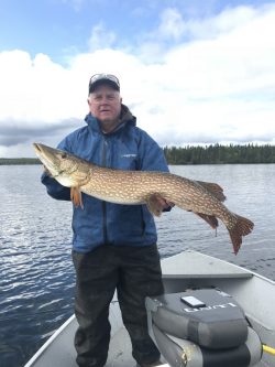 A person in a blue jacket stands on a boat holding a large fish over a lake with trees in the background.
