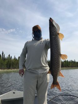 Person in light clothing stands on a boat holding up a large fish, with trees and water visible in the background.