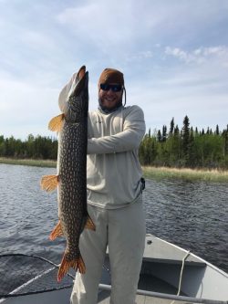Person standing on a boat holding a large fish upright with a lake and trees visible in the background.