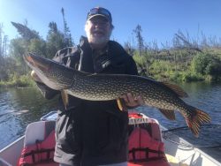 Man standing on a boat holding a large northern pike fish with trees and blue sky in the background.