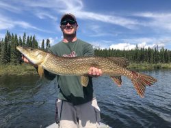 Man standing on a boat holding a large northern pike fish with a lake and forest in the background.