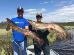 Two people standing in a boat hold large northern pike fish, with grassy wetlands and trees in the background.
