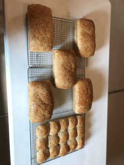 Six loaves of bread and one tray of rolls are cooling on wire racks atop a white table.