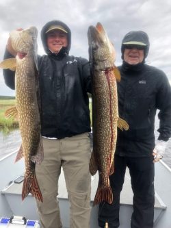 Two people in rain jackets on a boat hold up large northern pike fish on a cloudy day.