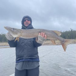 Person in winter clothing holding a large fish on a boat with water and trees in the background under a cloudy sky.