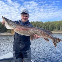 A person in fishing gear holds a large northern pike on a boat with a lake and forest in the background.