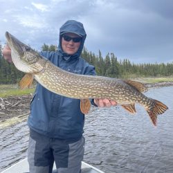 Person in a blue jacket holding a large northern pike fish beside a river with trees in the background.