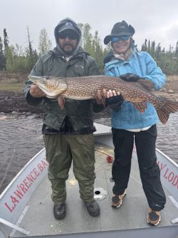Two people standing on a boat hold a large fish, with trees and water visible in the background.