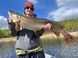 Person wearing a red hat holds a large northern pike fish on a boat with forest and sky in the background.