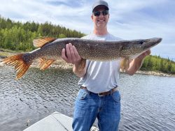 A person standing on a boat holds a large northern pike fish with a forest and lake in the background.