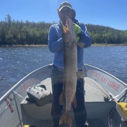 Person standing in a boat on a lake, holding a large fish vertically with both hands in front of their body.