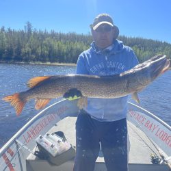 Person standing in a boat on a lake, holding a large northern pike fish with trees in the background.