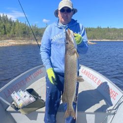 Person in a blue hoodie holding a large fish on a boat with "Lawrence Bay Lodge" written on the side.