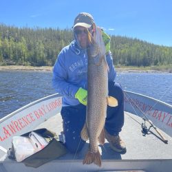 Person in sunglasses and hoodie holds a large fish on a boat in a lake, with trees visible in the background.