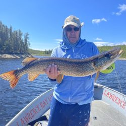 Man wearing sunglasses and hat holds a large fish on a boat in a lake with trees in the background.
