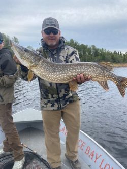 Man standing on a boat holding a large northern pike fish, with a lake and trees in the background.