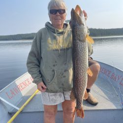 Person in sunglasses and hoodie stands on a boat holding a large fish vertically by the mouth, with a lake in the background.