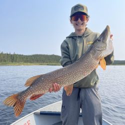 A person standing in a boat on a lake holds a large fish with both hands. Forest is visible in the background.