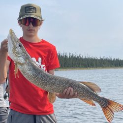 A person in a red shirt holds a large fish with patterned scales by a lakeshore with trees in the background.