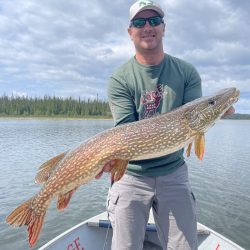 Man standing on a boat holds a large northern pike fish with a lake and trees in the background.