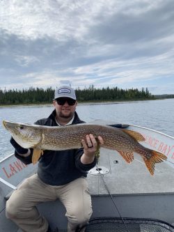 A person on a boat holding a large fish with a lake and forest in the background under a cloudy sky.