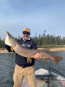 Man standing on a boat holding a large fish, likely a northern pike, with trees and water in the background.