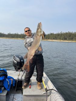 Person standing on a boat holding a large fish with a forested shoreline visible in the background.