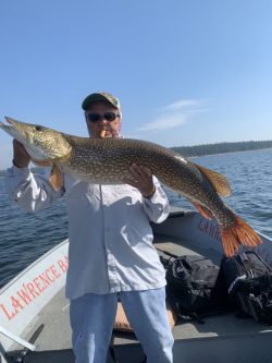 Person standing on a boat holding a large fish with water and trees visible in the background.