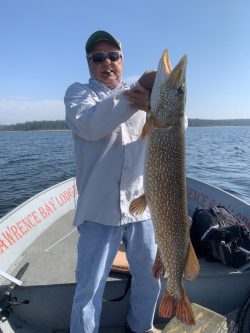 An older man on a boat holds up a large fish he caught, with a lake and treeline in the background.
