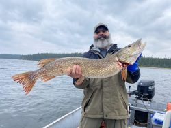 Man standing on a boat holding a large northern pike fish, with a lake and forested shore in the background.