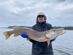 Person in rain gear holding a large Northern pike fish in front of a lake under a cloudy sky.