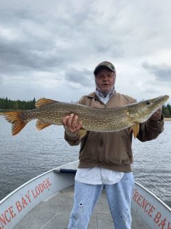 Person standing on a boat holds a large fish with both hands over a lake, with trees and cloudy sky in the background.
