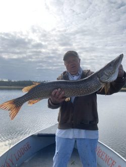 Man standing in a boat on a lake holds a large northern pike fish horizontally toward the camera.