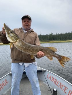 Man standing in a boat holds a large northern pike fish, with a lake and trees in the background.