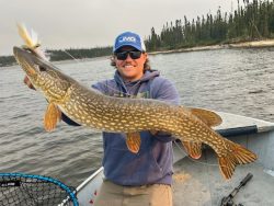 Person in a boat holding a large northern pike fish, with a wooded shoreline and water in the background.