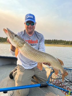 An angler on a boat holds up a large northern pike fish with a net and a lake visible in the background.