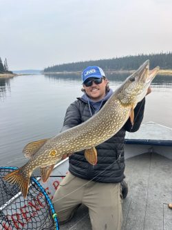 Person on a boat holding a large northern pike fish with water and trees visible in the background.