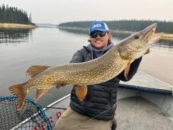 A man wearing sunglasses and a hat holds a large northern pike fish on a boat in a calm lake.