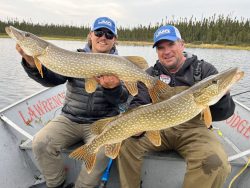 Two men in a boat hold large northern pike fish, wearing blue hats and outdoor clothing on a lake with forested shore.