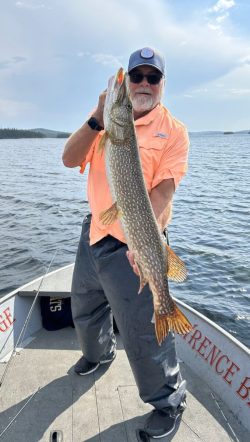A man standing on a boat holds a large northern pike fish in front of him on a lake.