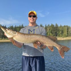 Man wearing a Michigan shirt and hat holds a large northern pike fish by a lake, with trees in the background.