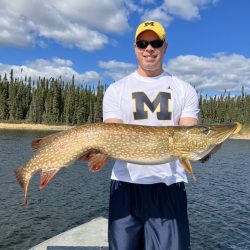 Man wearing a Michigan shirt and hat holds a large fish on a boat with forest and water in the background.