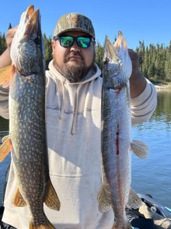 A person wearing sunglasses holds up two large fish by the water, with trees and blue sky in the background.