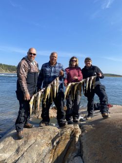 Four people stand on rocks by the water, each holding a line of several caught fish under a clear blue sky.
