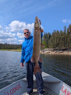 Person standing on a boat holding a large fish upright, with a lake and forested shoreline in the background.
