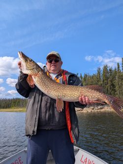Man standing on a boat holding a large fish with trees and a lake in the background under a partly cloudy sky.