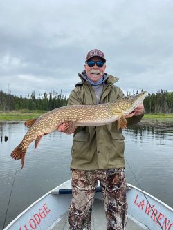 Man standing in a boat holds a large northern pike fish on a cloudy day, with trees and water in the background.