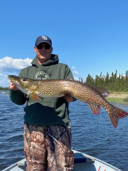 Man standing in a boat on a lake holding a large northern pike fish with trees and blue sky in the background.