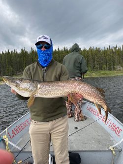 Person holding a large fish on a boat, with another person fishing in the background on a lake surrounded by trees.